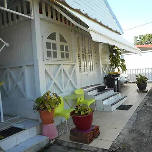 Vue Jardin Fleuri Appartement Le Lamentin